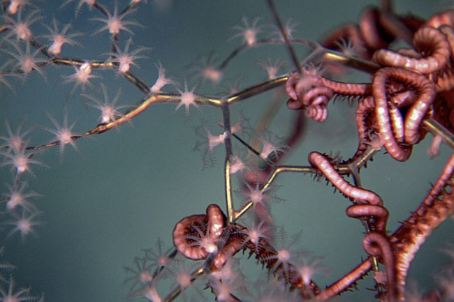 image-a51c39c372330c82db55154e44a9d1287236c9c4-1008x576-png