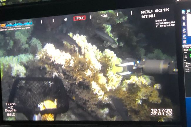 image-ab5f6088544bf540e24c1d2480d359c88c53c080-680x468-jpg