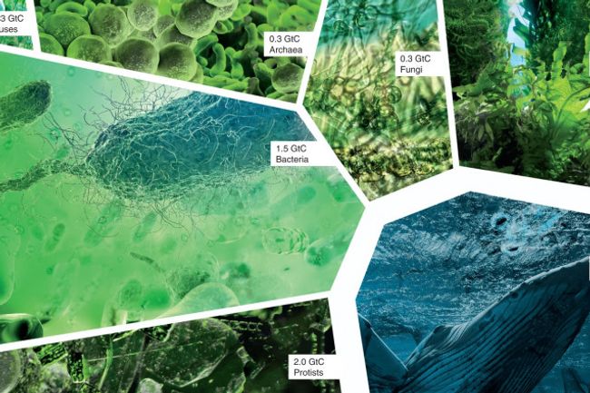 image-b1af66022c298d87497577379554d5c2bc28dac5-753x425-jpg