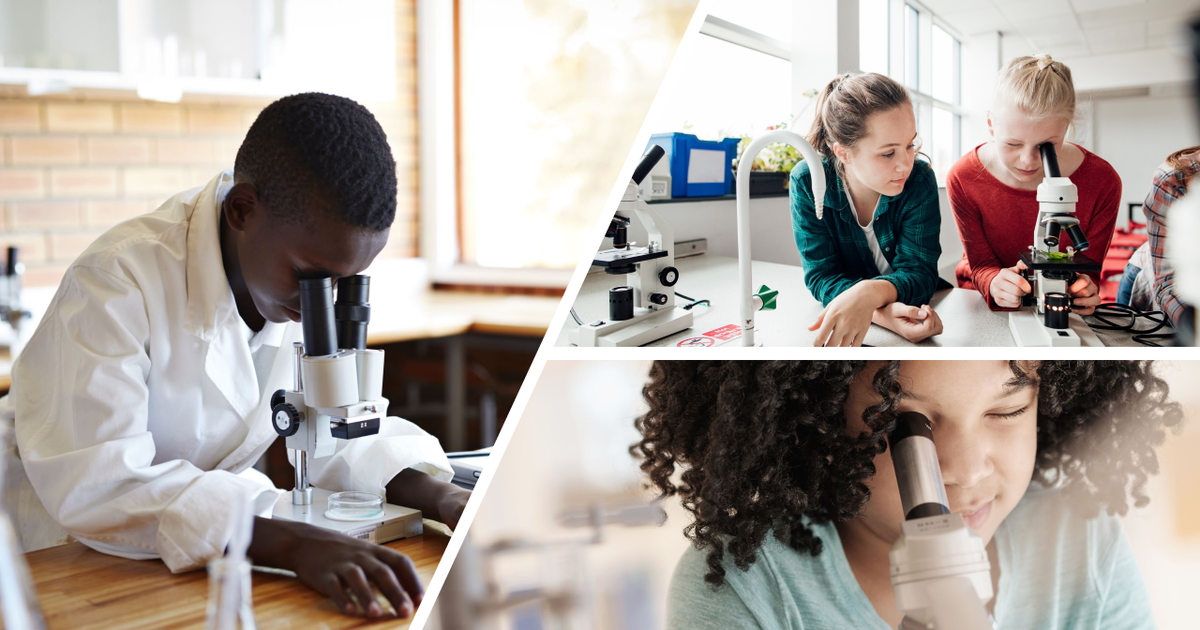 New interactive microscopy exhibition set for Micro Day in Leiden | Marbles