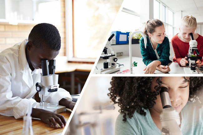 image-b6bfafff9621cf22817a5225f6a10afe576160b4-1280x720-png