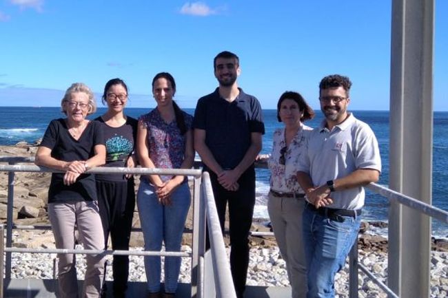 image-b8634f2a92246221cb5e858a62382c38ac526991-800x420-jpg