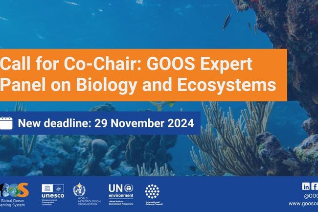 image-bb189570aa8df91bdc1db38872c0d5efd2770758-960x540-jpg