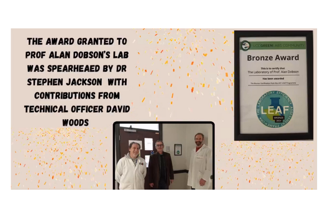 image-bbc7b918d549387d80961a36eb10070aab28f823-1200x630-png