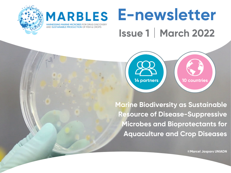 image-bed39ce3139347c511bec31761eabc5ffdd00682-800x600-png