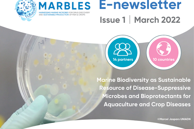 image-bed39ce3139347c511bec31761eabc5ffdd00682-800x600-png