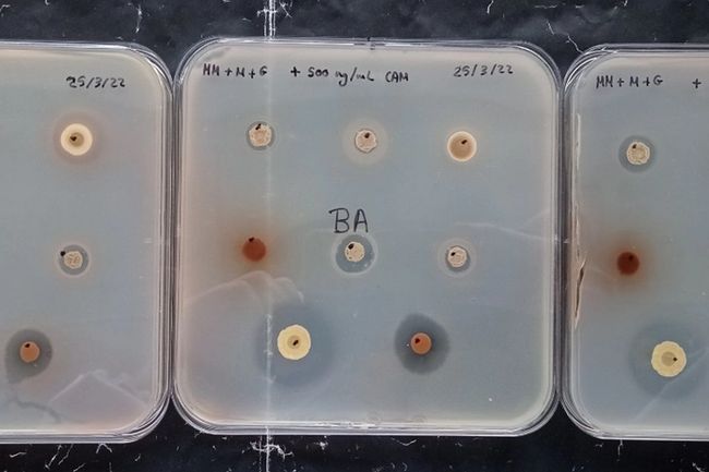 image-c72624f786ce3a0a6ddc340b961e99c9fc421676-2131x823-jpg