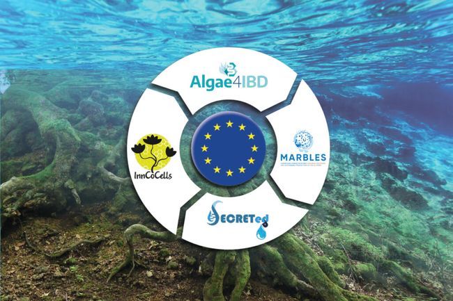 image-d21db1efe6abefb4706ac2df762b8ab3df152d82-1024x685-jpg