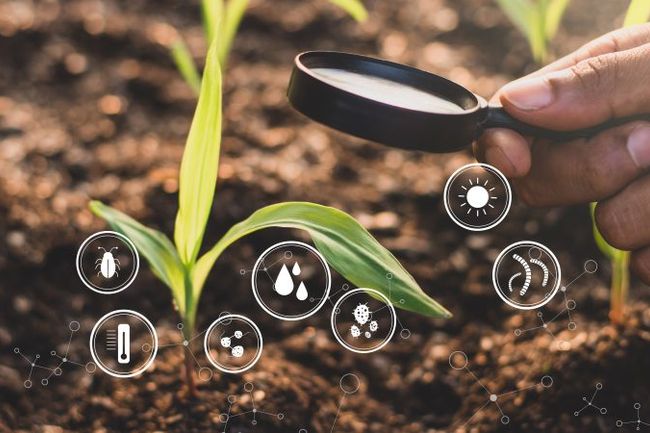 image-d47afa66da08a22f3e38eceed0e053eda35b5816-800x450-jpg