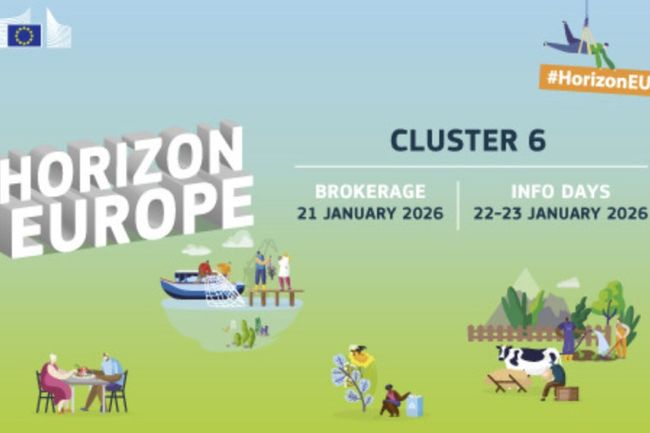 image-eb1741a3259bc988d2a2f90ecf033faa576afbae-800x499-jpg