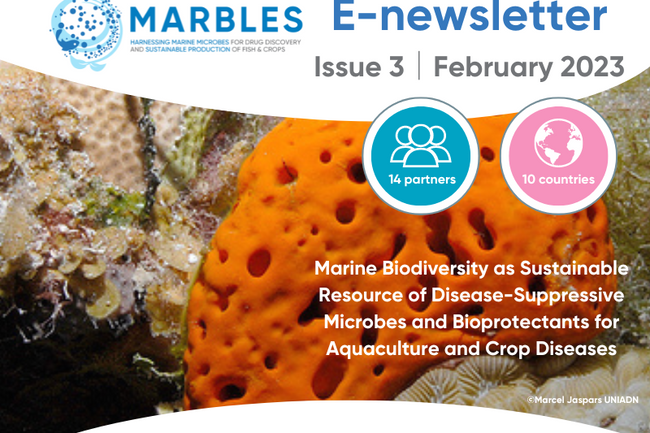 image-ec619cba83e32fa1a07aa0bba2c446a913a4f970-800x600-png