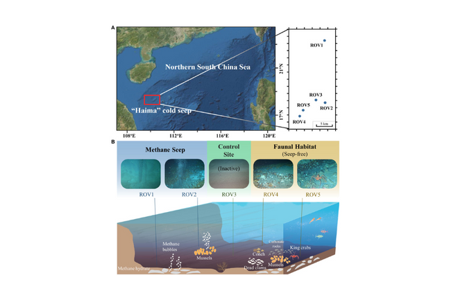 image-f25675007cce93ae2b89e090bcd6dc7d35f32724-1200x630-png