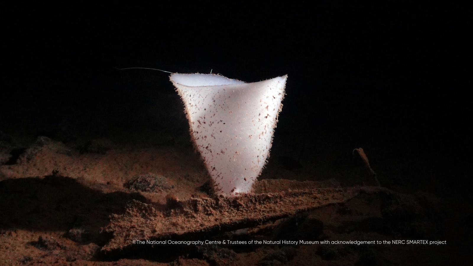 image-f49880bad37250f3e94bb10c79ef916eb398e6b4-1600x900-png