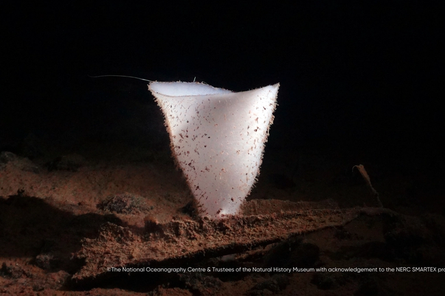 image-f49880bad37250f3e94bb10c79ef916eb398e6b4-1600x900-png