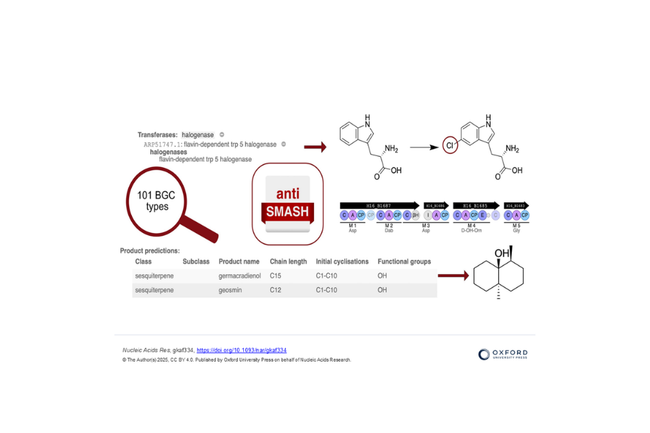 image-f6bdf7c0189d72f92bf0c2b664fbf62bc8228a40-1200x630-png