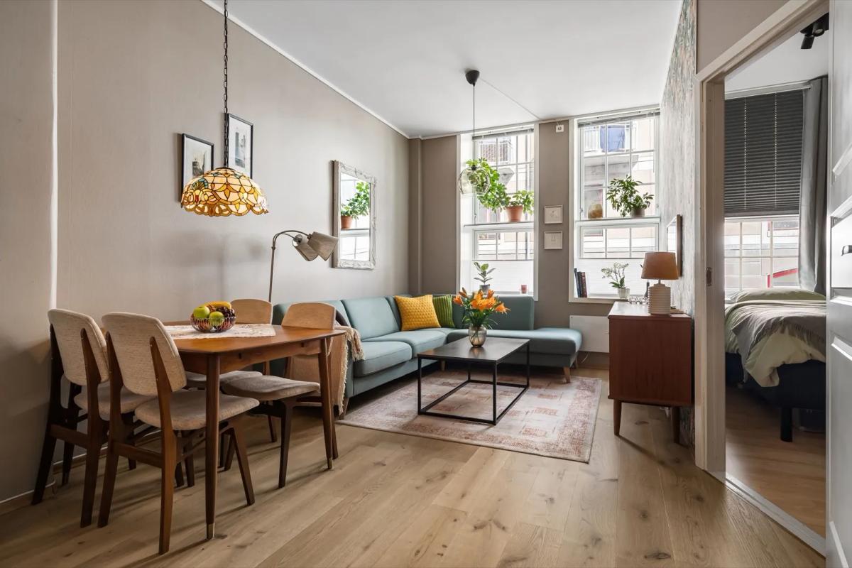 Salon d'un appartement meublé lumineux et bien agencé