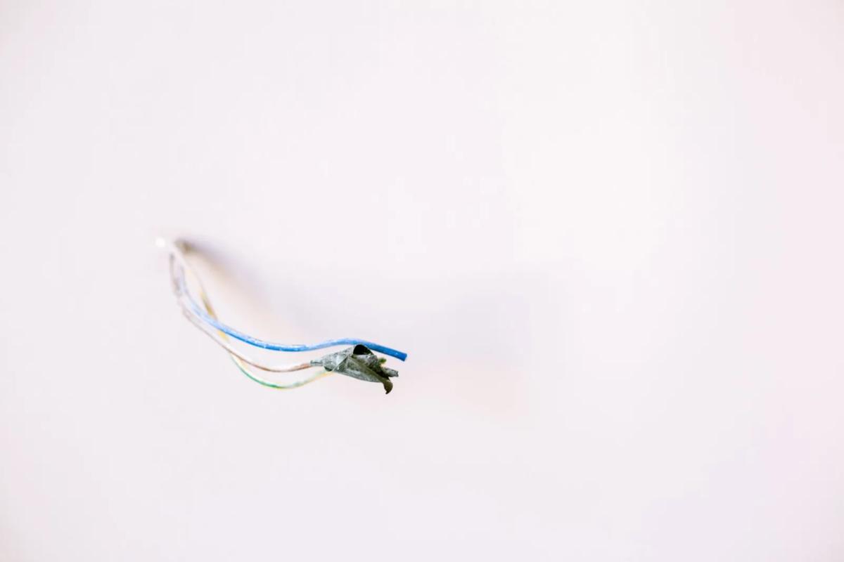 Câble électrique endommagé sortant d'un mur, dégât typique des rongeurs