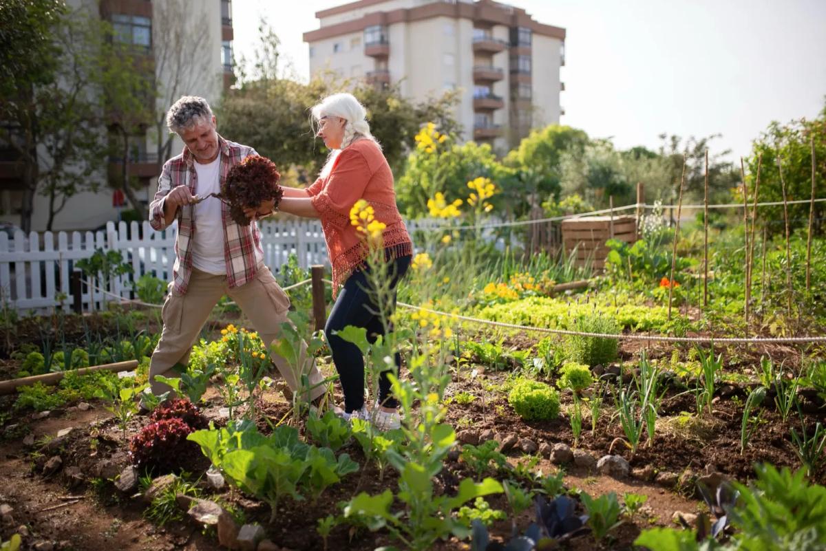 Deux seniors jardinant ensemble dans le jardin de leur maison partagée