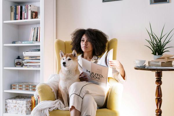 Animaux en location : ce que dit vraiment la loi