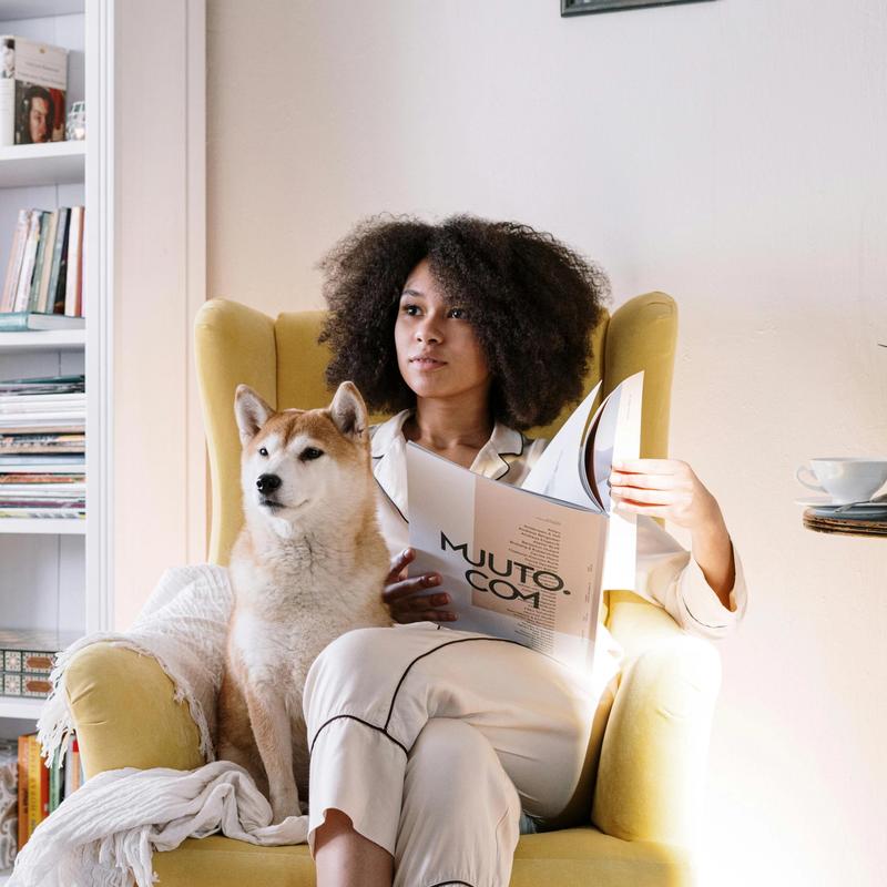 Animaux en location : ce que dit vraiment la loi
