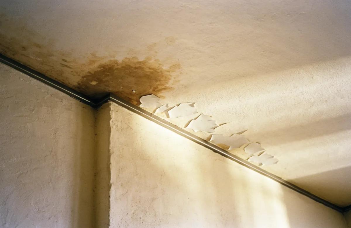 Peinture qui cloque et traces d'humidité sur le mur d'un logement en location