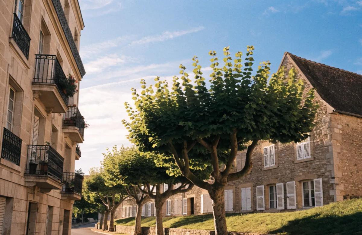 Comparaison des charges locatives entre un appartement en copropriété et une maison individuelle