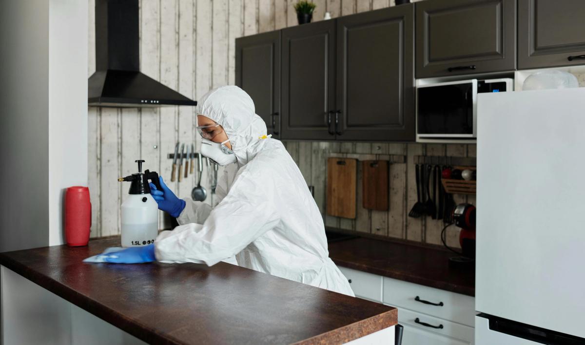 Gel insecticide anti-cafards appliqué dans les recoins d'une cuisine