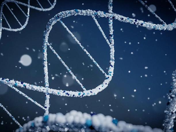 A close-up of a 3D DNA helix structure composed of small, textured spheres in shades of blue and white.