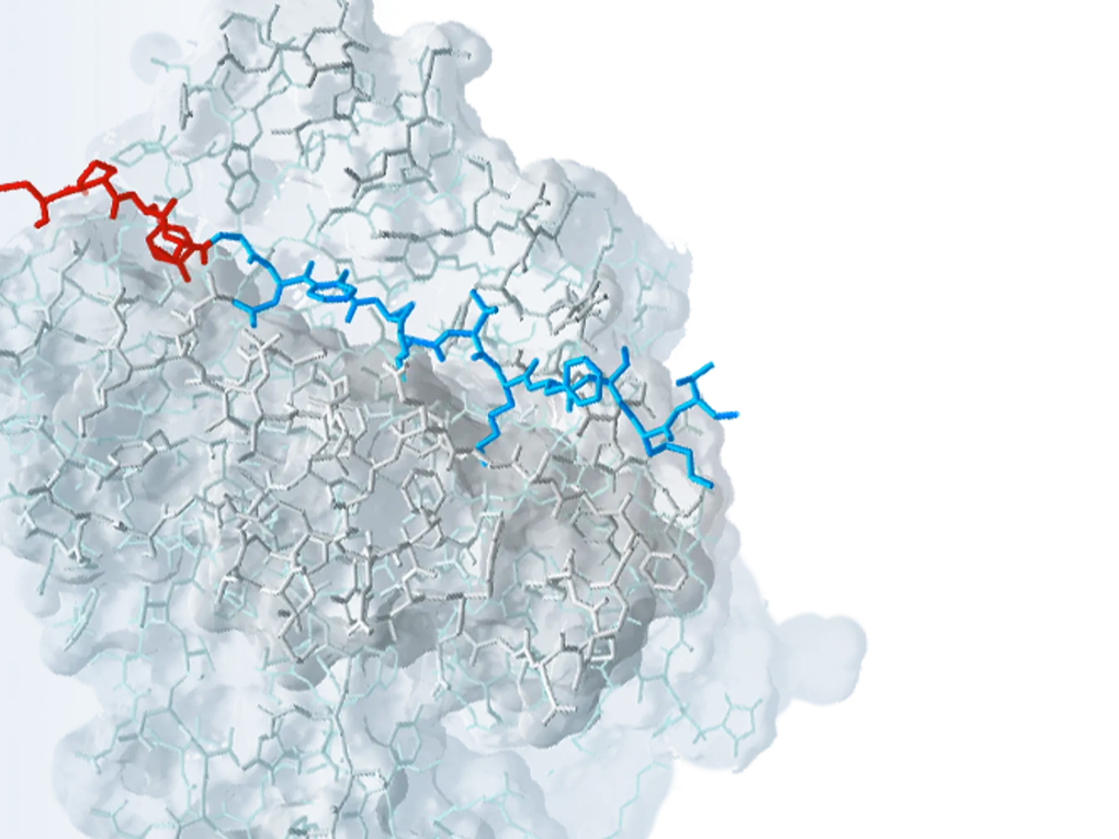 A 3D molecular structure with interconnected hexagonal patterns.