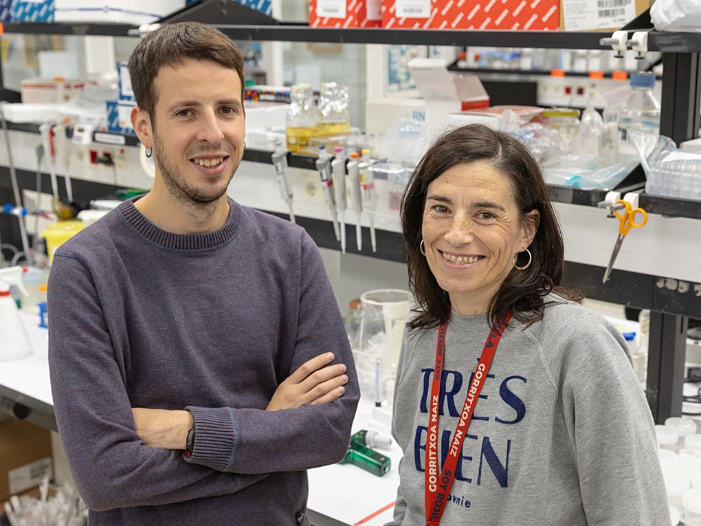 Marta M. Alonso and Iker Ausejo-Mauleón