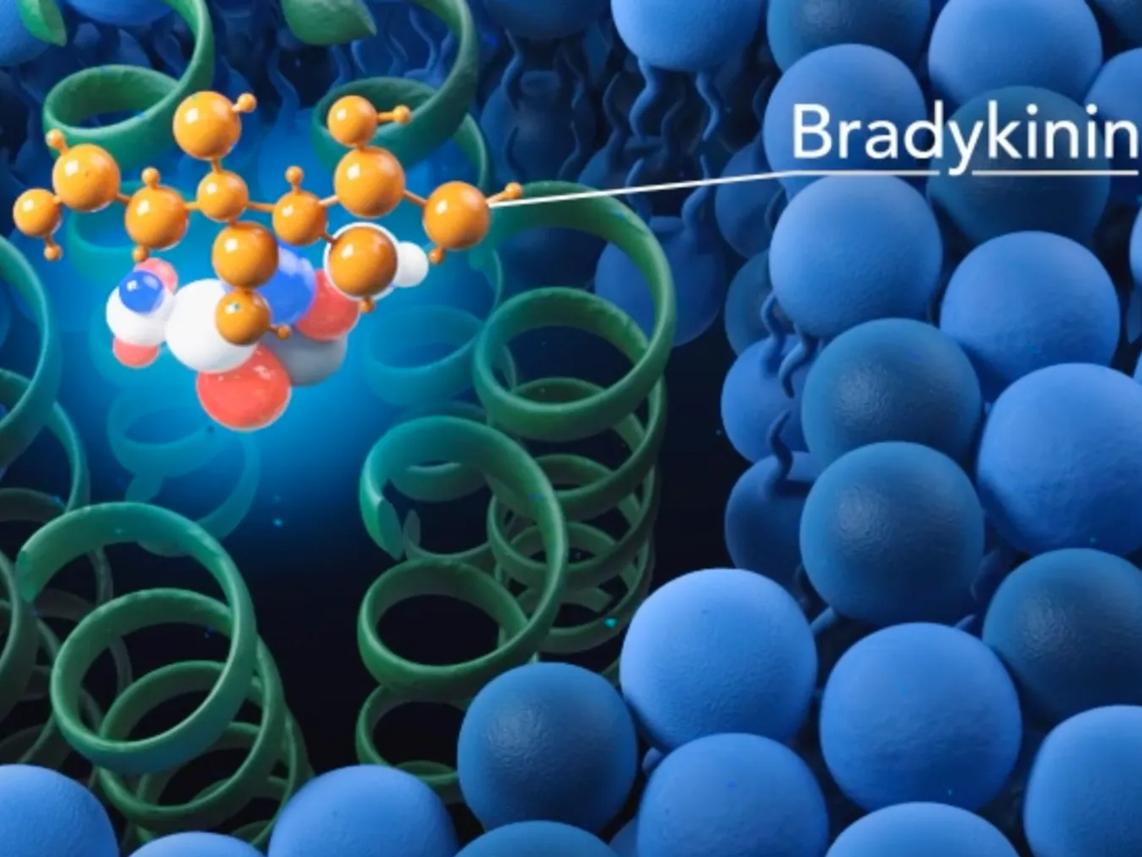A 3D molecular model labeled "Bradykinin" surrounded by green spiral structures and blue spherical shapes.