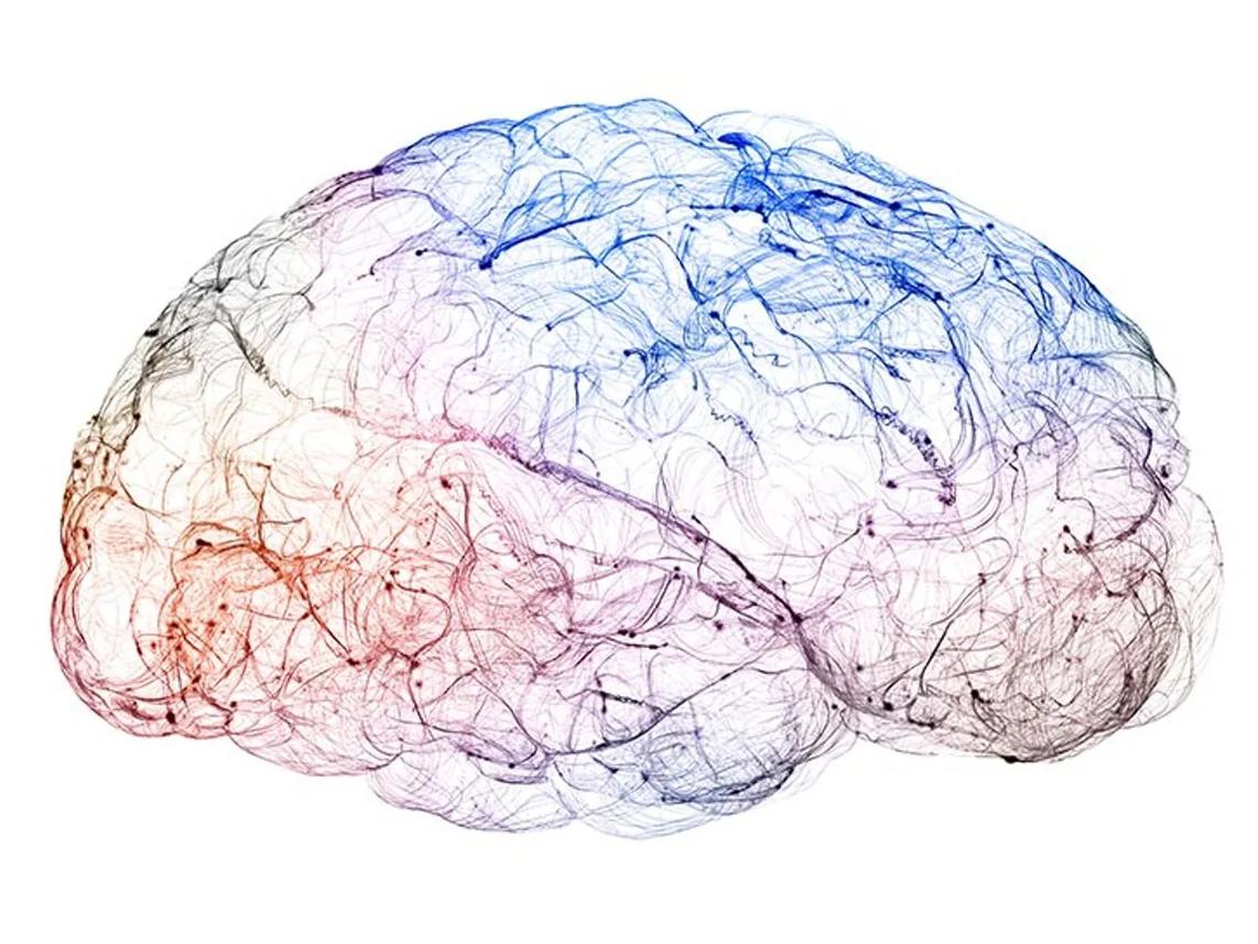 A digital illustration of a human brain with intricate neural connections.
