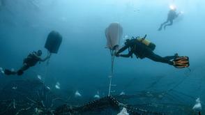 Scuba divers underwater work together to lift a large fishing net using inflatable lift bags, with two more divers in the background holding flashlights.