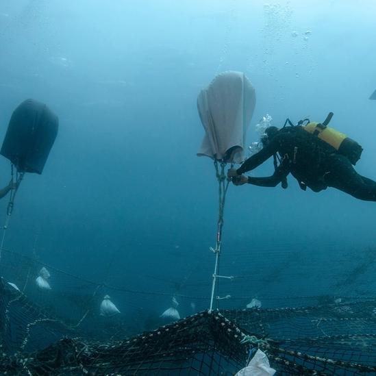 Scuba divers underwater work together to lift a large fishing net using inflatable lift bags, with two more divers in the background holding flashlights.