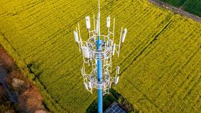 Aerial view of a mobile communication tower rising above a large yellow flowering field.