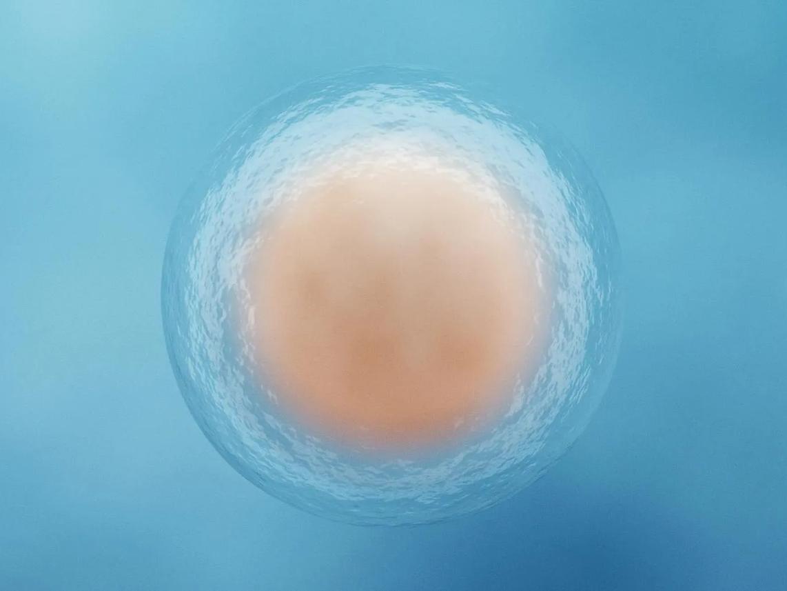 A close-up of a single cell under a microscope.