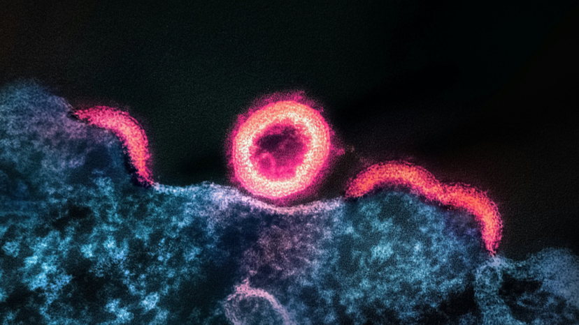 Rare Diseases