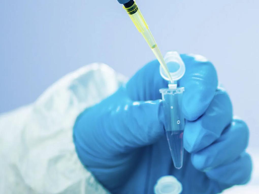 A gloved hand holding a small test tube while using a pipette to add liquid.