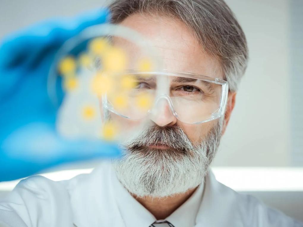 A scientist wearing safety goggles and gloves examines a petri dish with yellow colonies.