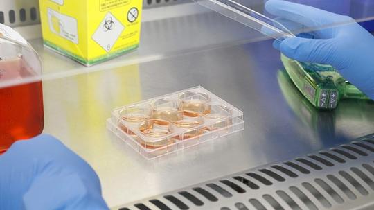 A clinician's hands perform an experiment.