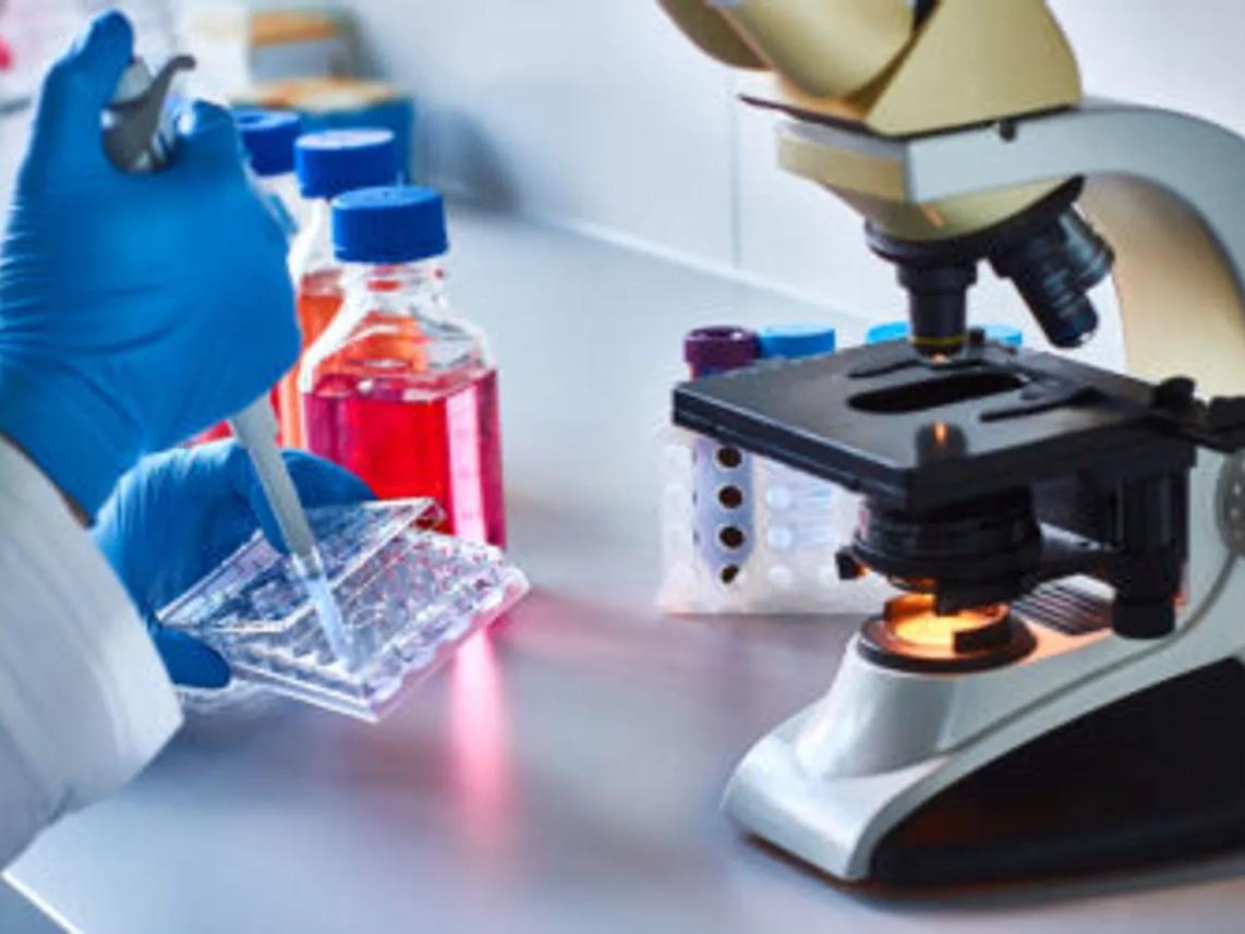 A scientist wearing gloves uses a pipette to transfer liquid into a multi-well plate beside a microscope.