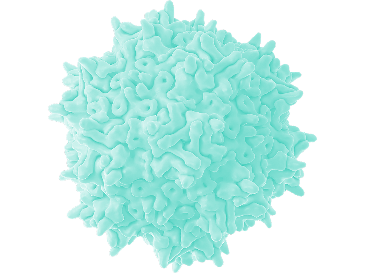 SpliceBio