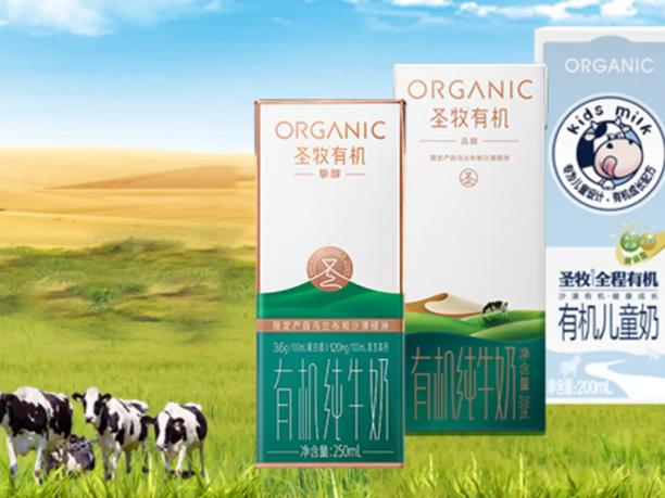 Packaging of organic milk products with Chinese text.