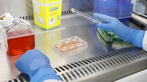 A clinician's hands perform an experiment.