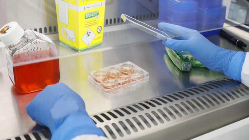 A clinician's hands perform an experiment.