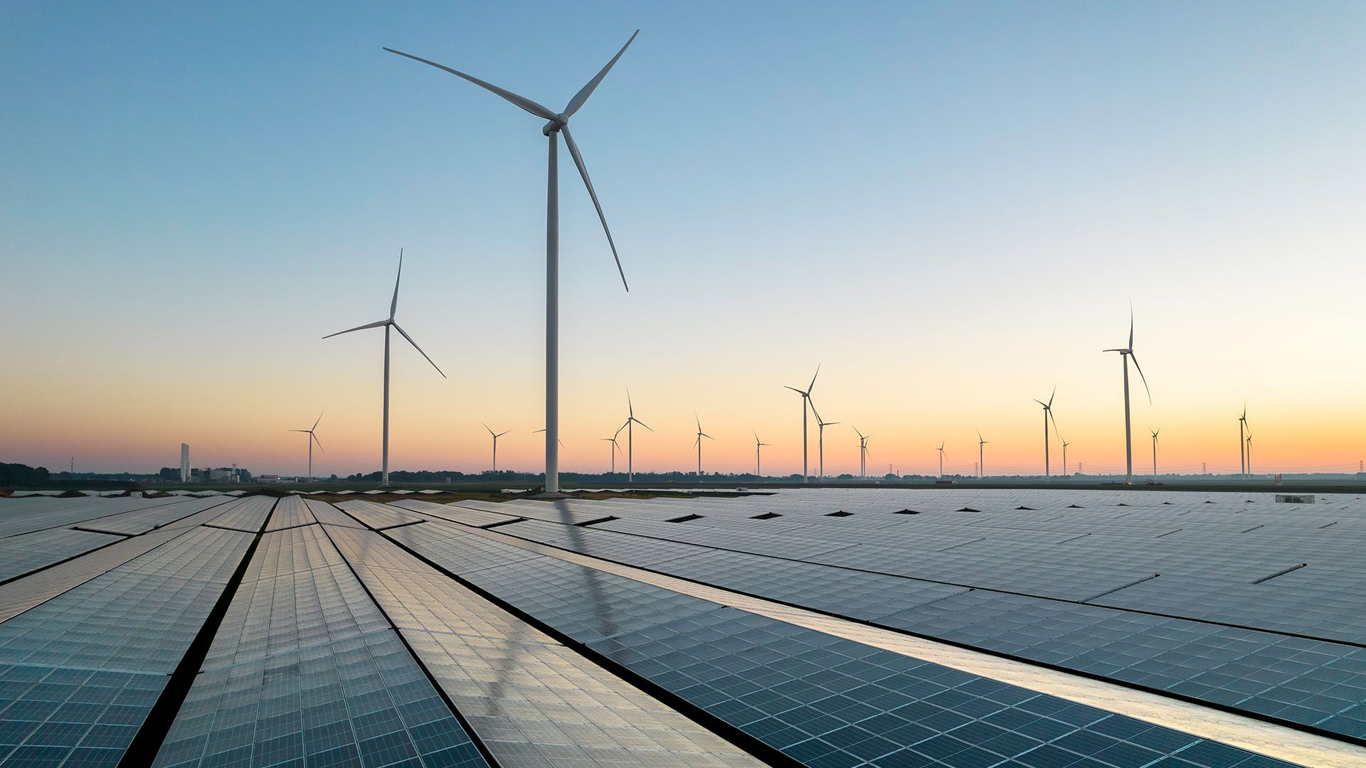 Solar panels in the foreground with multiple wind turbines stretching into the distance at sunset.

