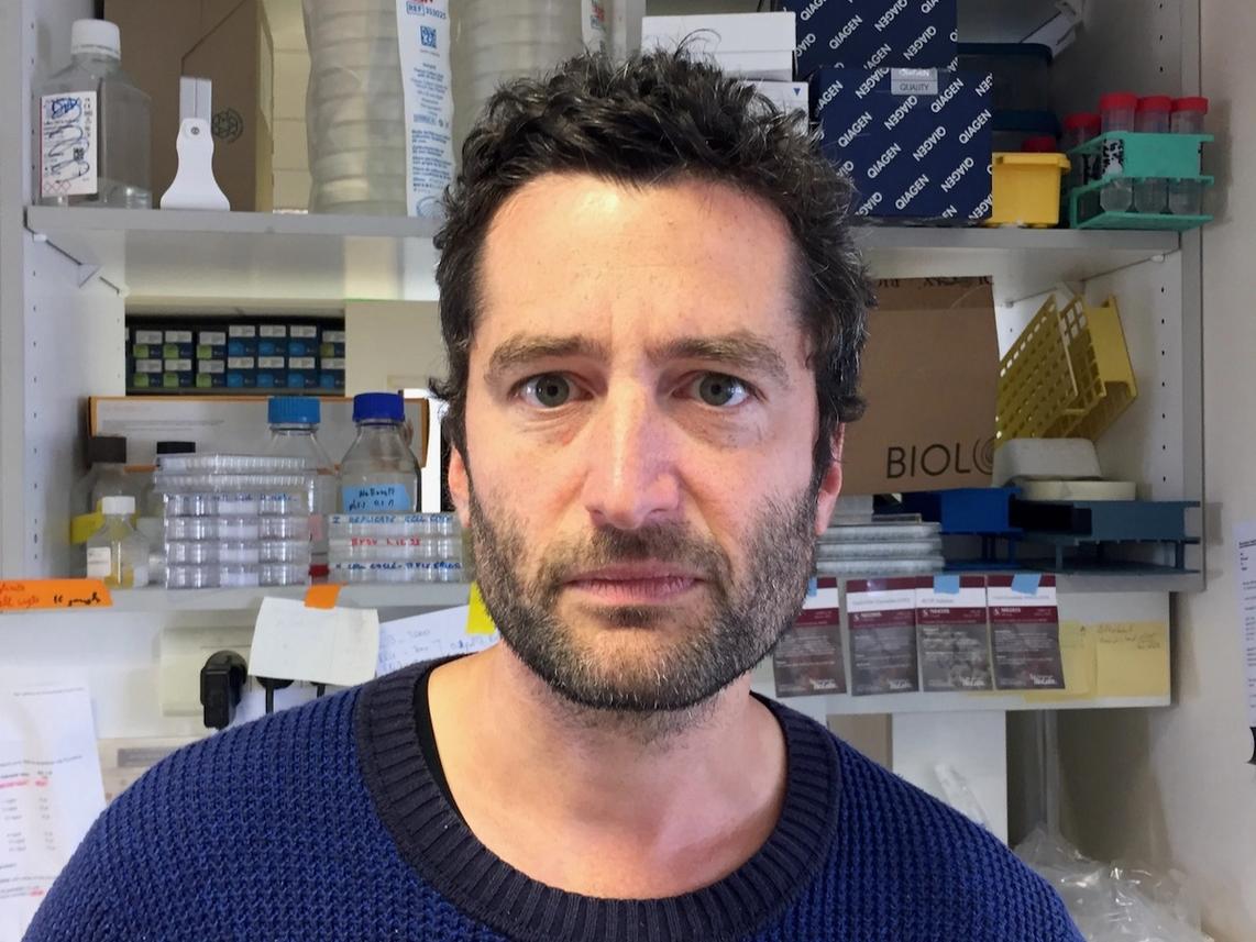 Portrait image of a person