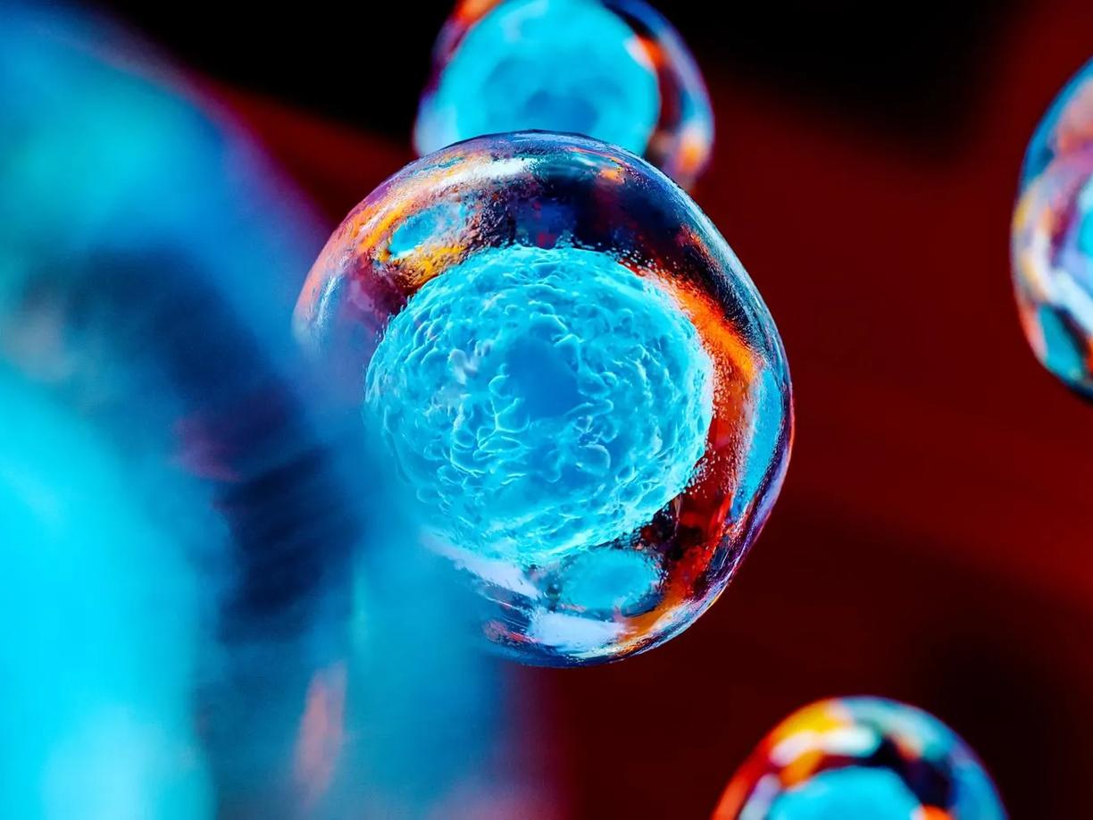 A close-up 3D rendering of a blue cell with a detailed nucleus.