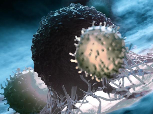 A close-up 3D rendering of a virus or cell structure with spiky protrusions.