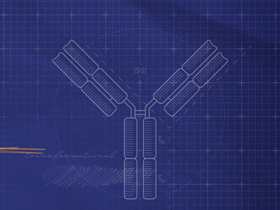 Electra Therapeutics